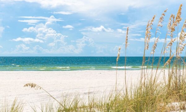 The sunlit, vibrant beaches of Boca Raton, reflecting the lively, dynamic spirit of its residents.